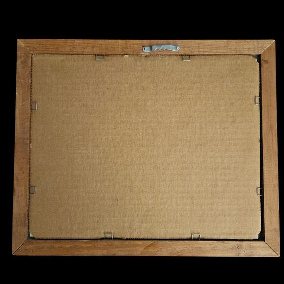 Pair Framed Duck Prints by Nichols – Wood Ducks & Pintails Waterfowl Art 10x12 - Picture 4 of 7